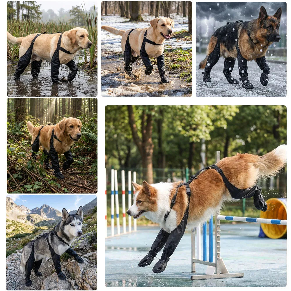 Botas impermeables para perros, accesorio de calzado para exteriores para Corgi, Caniche, Bulldog y Francés - Botines tipo galocha para la seguridad y comodidad de tu mascota.