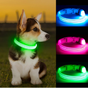 Collar de perro LED