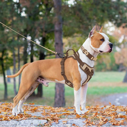 Nuevo arnés de lujo color chocolate para perros, antitirones, para perros grandes y pequeños. Correa de pecho ajustable. Arnés personalizado.