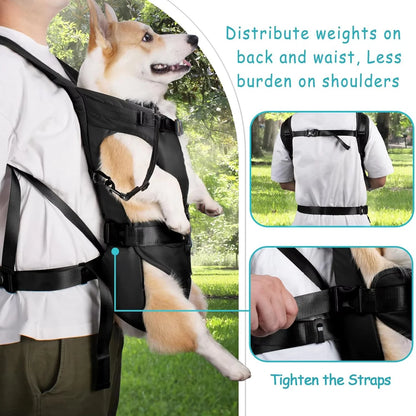 Mochila transportadora para perros, acolchada con esponja gruesa, frontal, portátil, ajustable, manos libres.