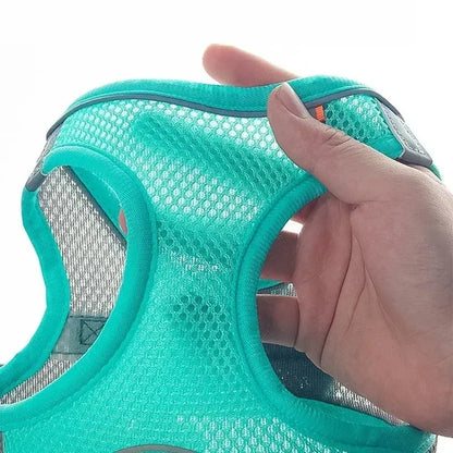 Conjunto de arnés para cachorros, accesorios para perros, arnés ajustable para cachorros y gatos, chaleco para bulldog francés, chihuahua, collar para perros pequeños, correa para mascotas.